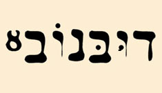 דובנוב 8