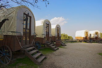 תמונה של חוות בת יער - 3