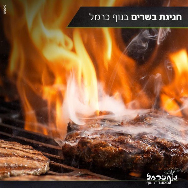תמונה שצולמה בנוף כרמל - 1 תמונה של נוף כרמל - 1