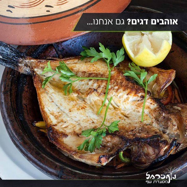 תמונה שצולמה בנוף כרמל - 3 תמונה של נוף כרמל - 3