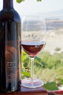 תמונה שצולמה בחוות התבלינים בגלבוע - 1 תמונה של חוות התבלינים בגלבוע - 1