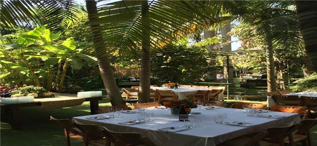 צל תמר באשדות יעקב איחוד