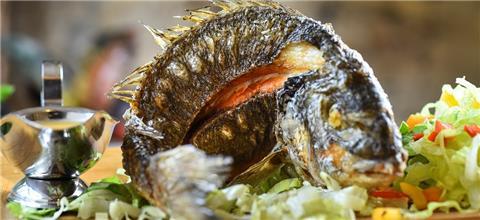 אלדיאר - מסעדה ים תיכונית בהמושבה הגרמנית, חיפה, חיפה