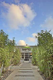 תמונה שצולמה בקליפטו - 2 תמונה של קליפטו - 2