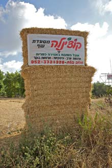 תמונה שצולמה בקוצ'ינלה - 1 תמונה של קוצ'ינלה - 1