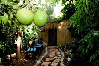 תמונה שצולמה בבית-גני - 3 תמונה של בית-גני - 3