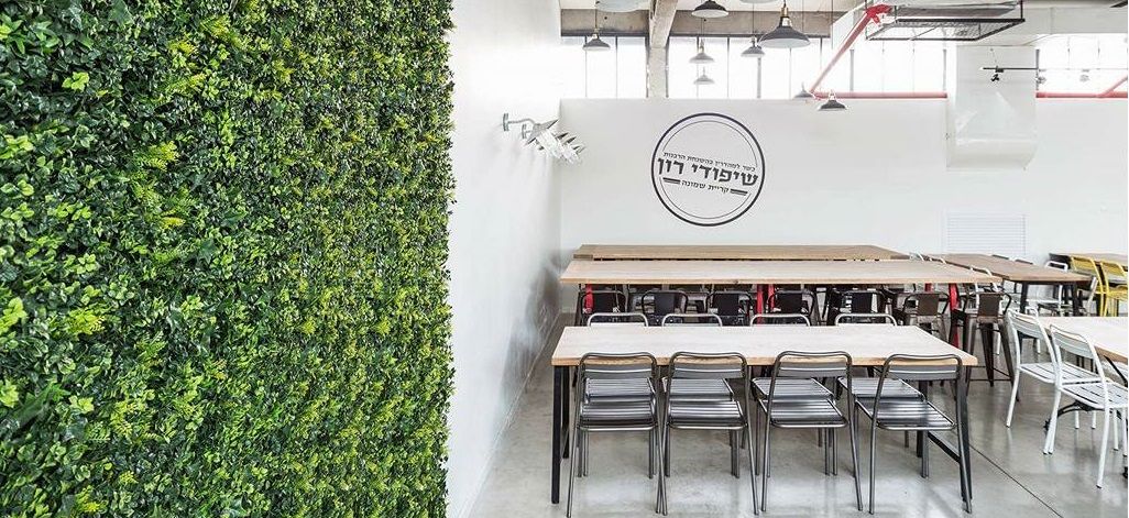 שיפודי רון תמונת רקע שיפודי רון