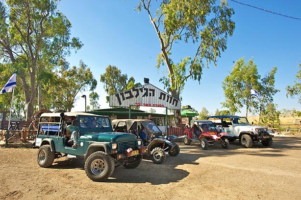 תמונה שצולמה בחוות הג'ילבון - 1 תמונה של חוות הג'ילבון - 1