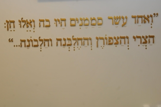 תמונה שצולמה בלבונה - 3 תמונה של לבונה - 3
