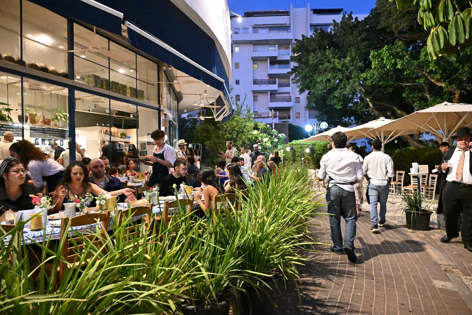 תמונה של גרקו הכשרה - 3