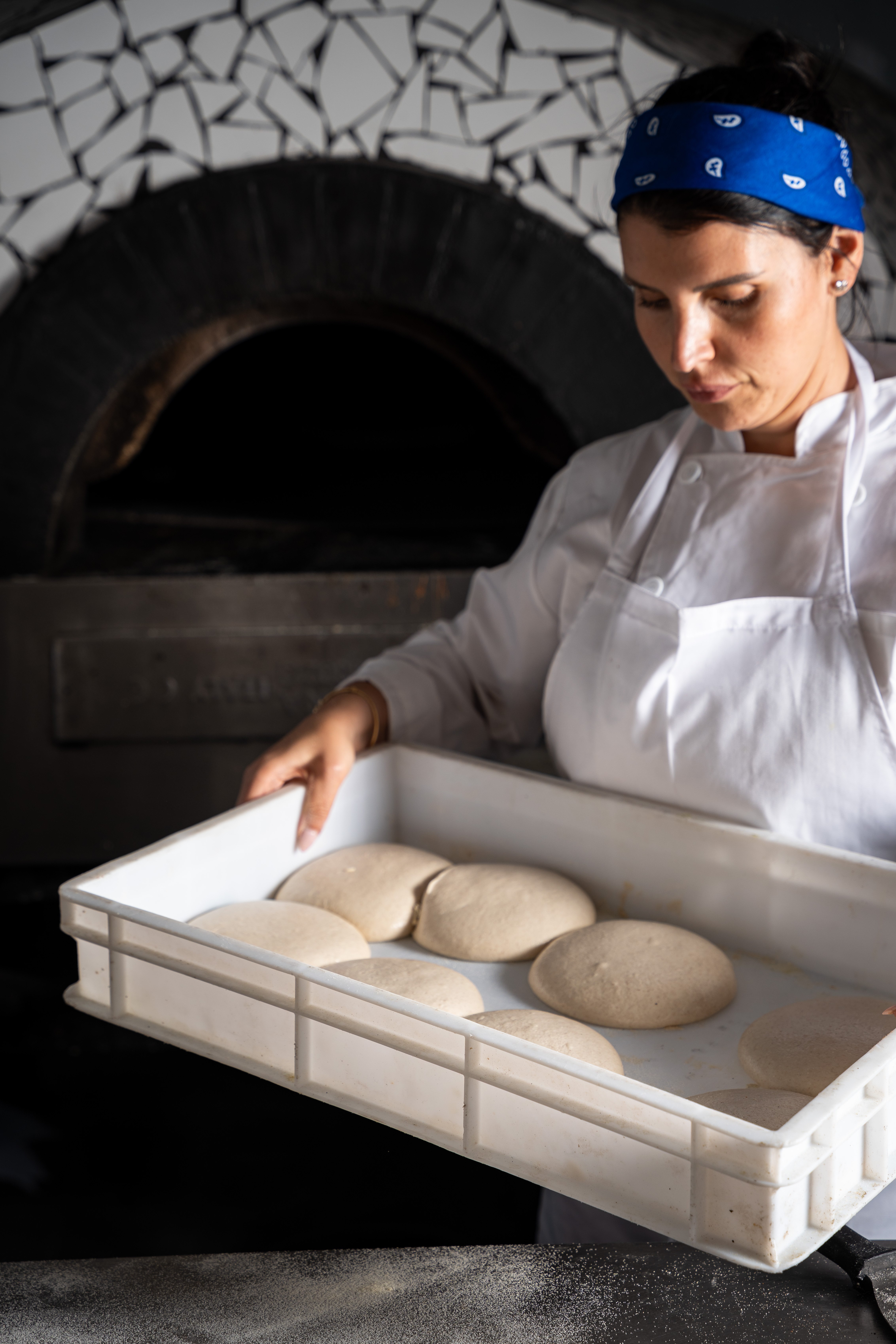 תמונה של ארסטו - 3