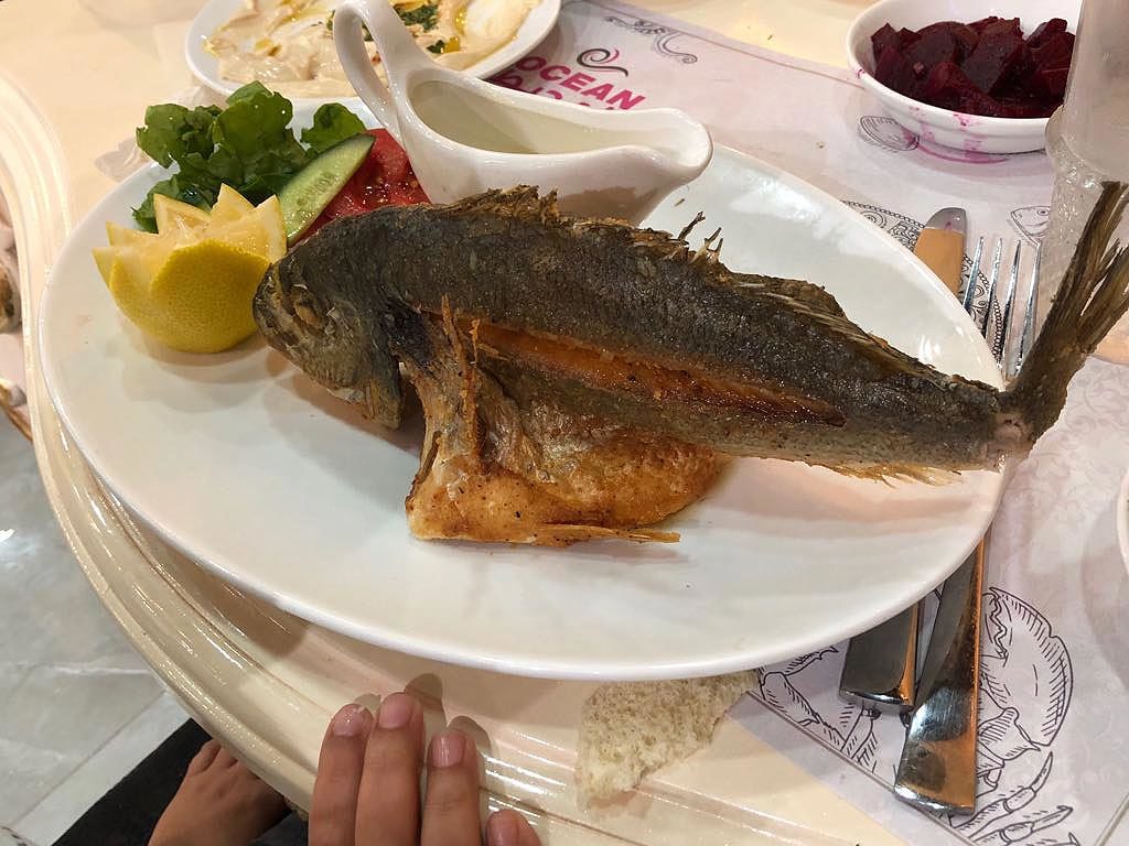 תמונה שצולמה באושן - 1 תמונה של אושן - 1