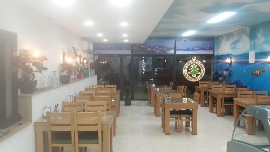 זיזו הדייג זיזו הדייג