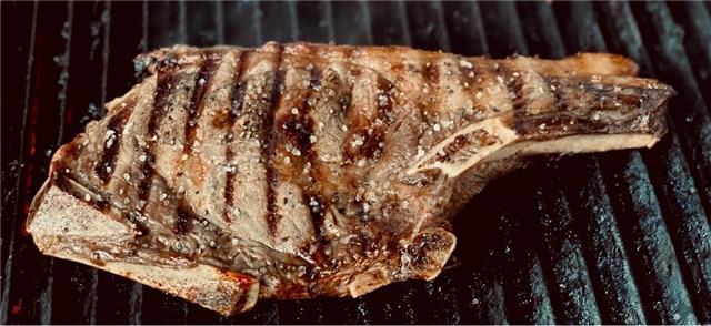 מול הים בעין בוקק