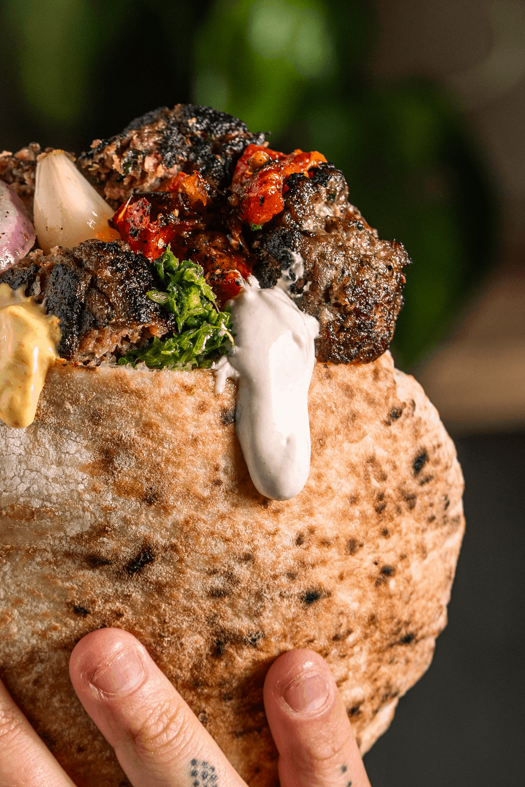 תמונה של ביר בשר - 3