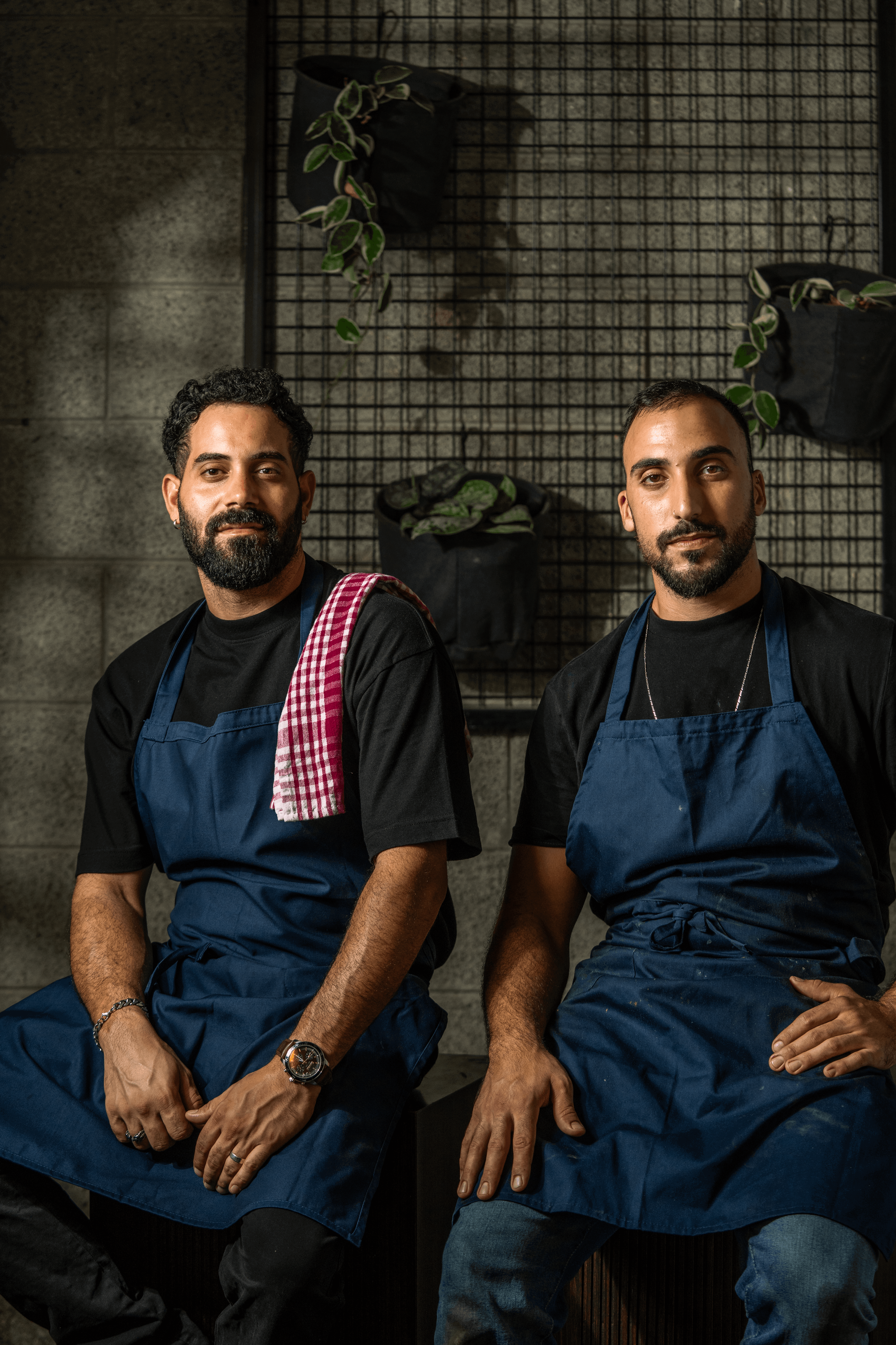 תמונה של ביר בשר - 2