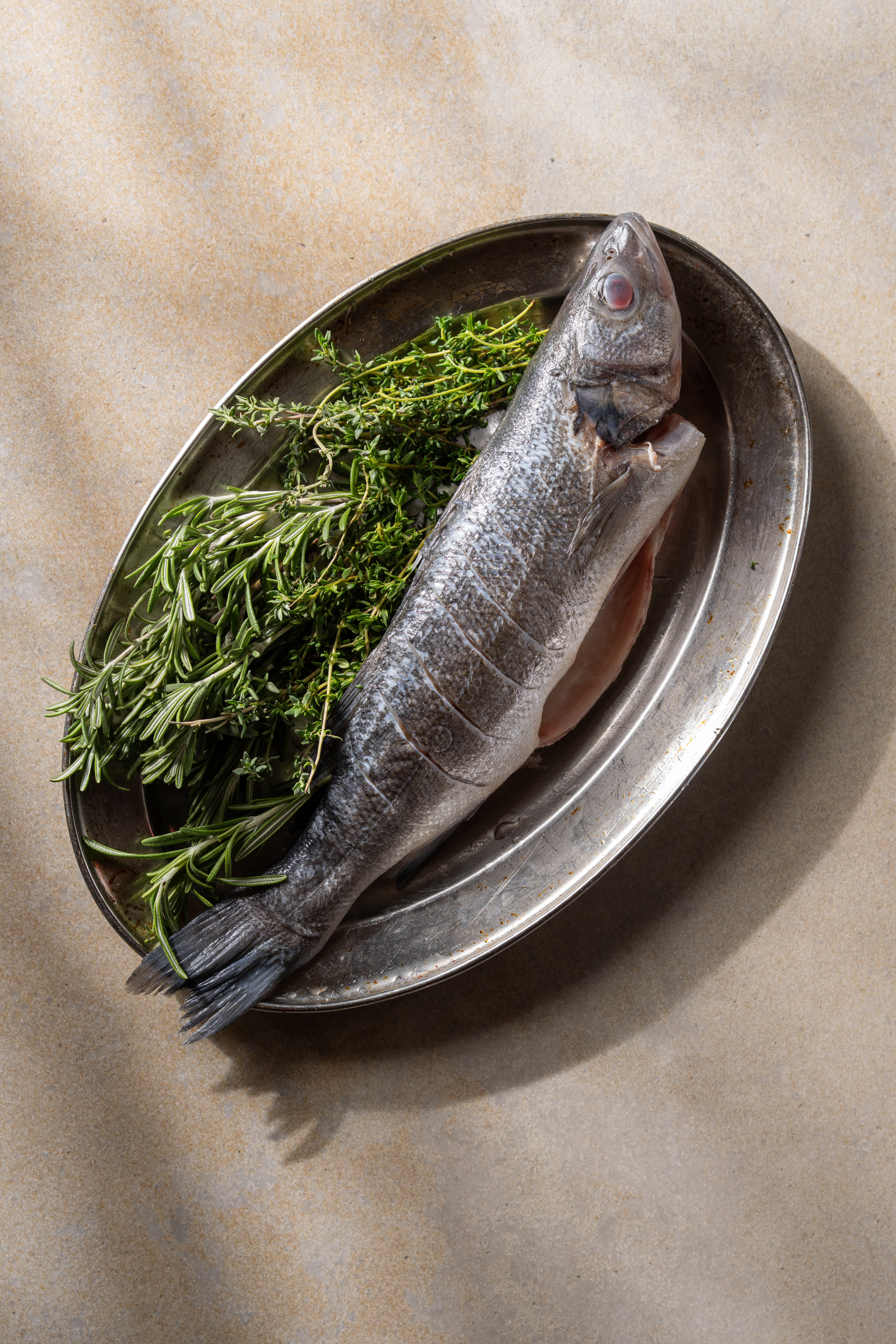 תמונה של חוף ציון - 2