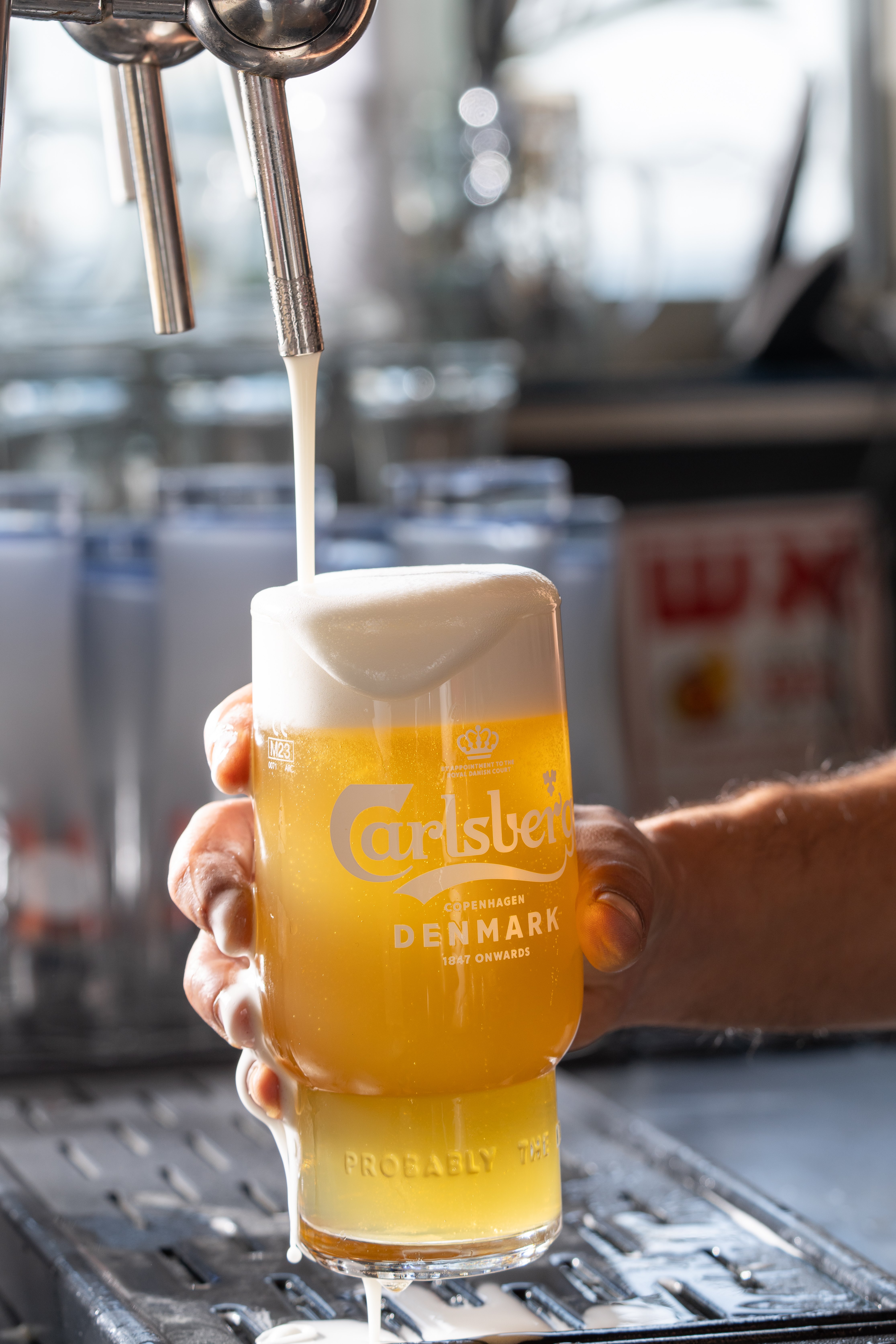 תמונה של חוף ציון - 3