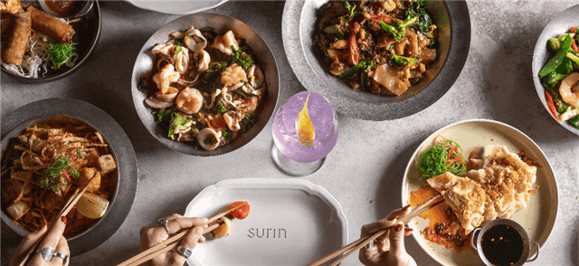 סורין בסביון