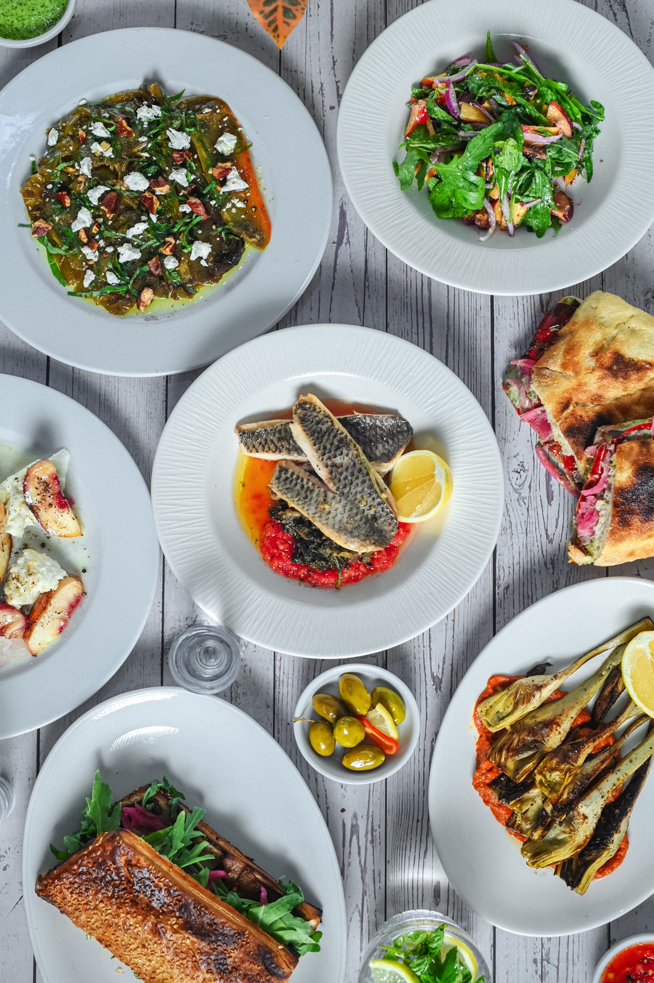 תמונה של לאגוס - 3