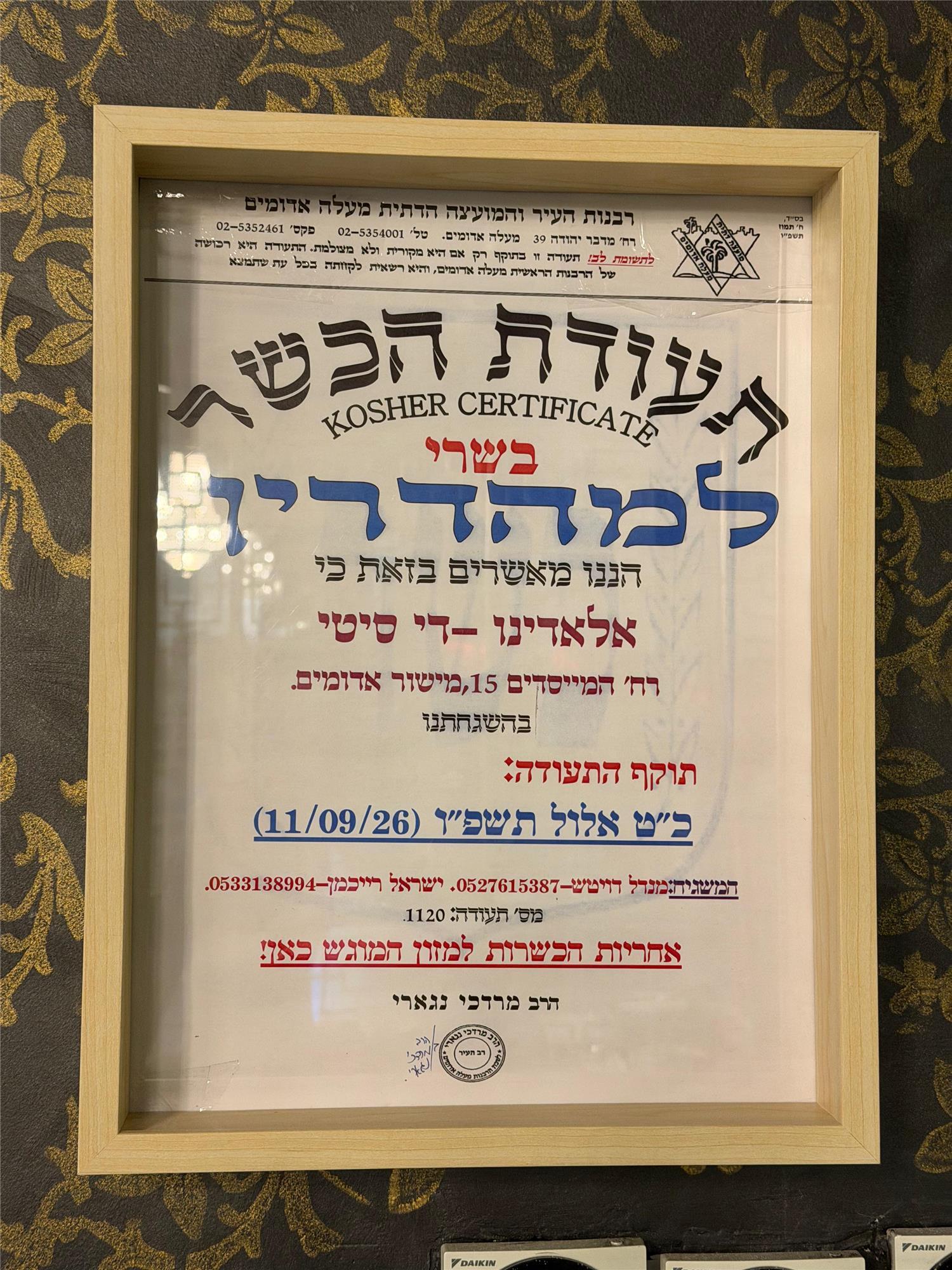 תמונה של ALADINO - 2