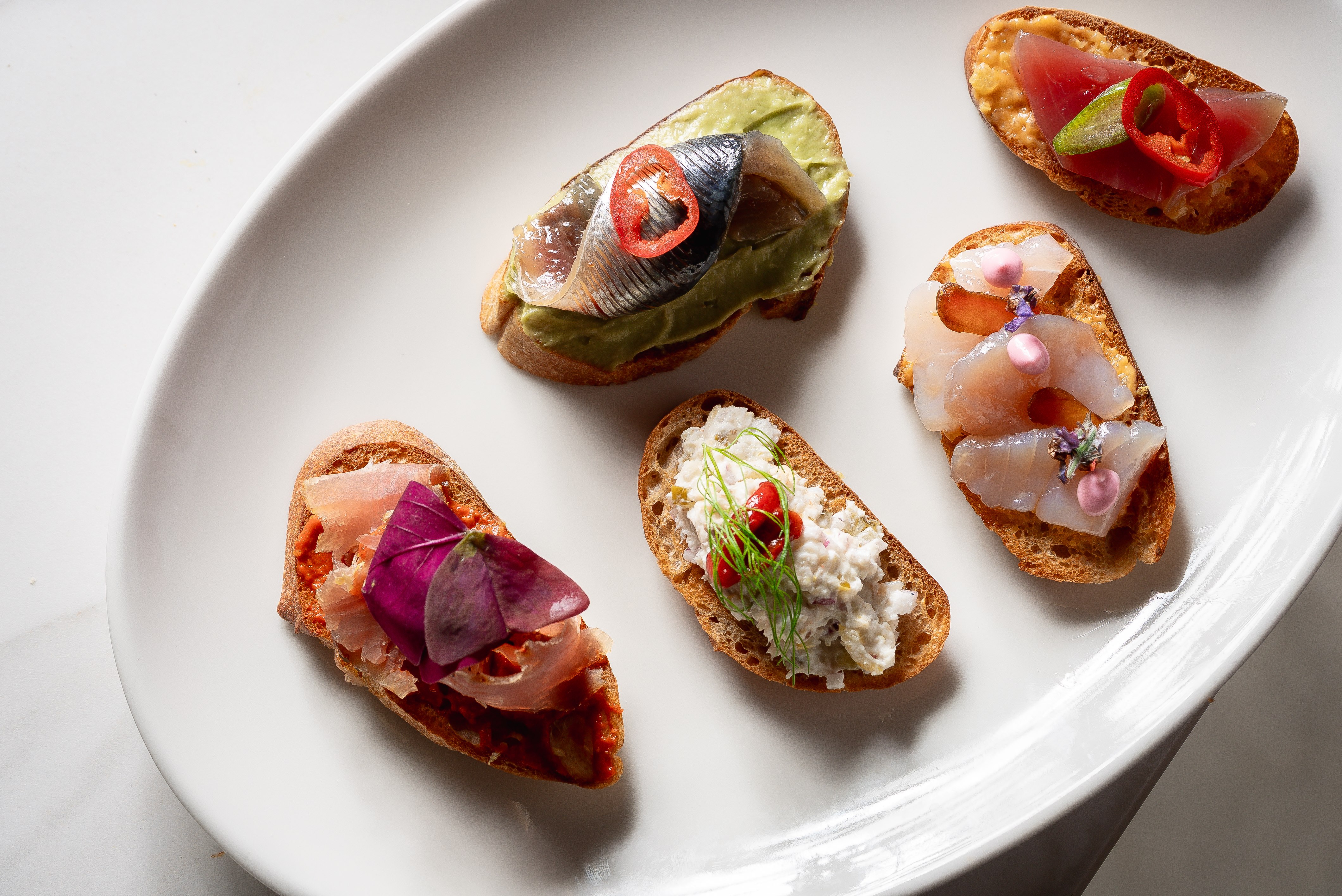 תמונה של מיה - 2