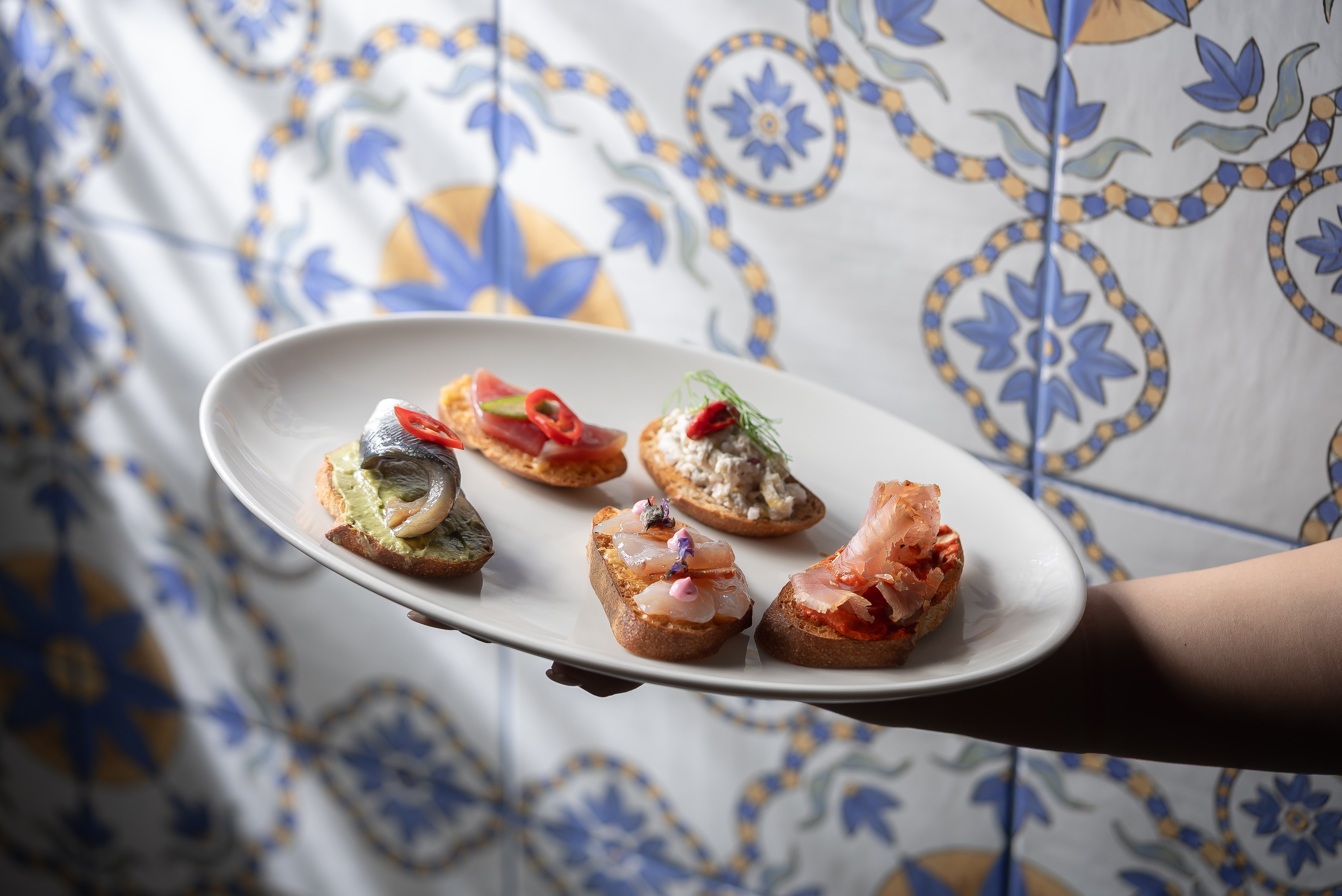 תמונה של מיה - 5