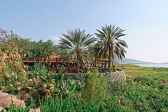 תמונה שצולמה במסעדת הדגים / מפגש הדייגים - 2 תמונה של מסעדת הדגים / מפגש הדייגים - 2