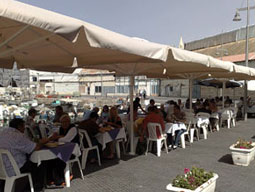 על דגים ודייגים 