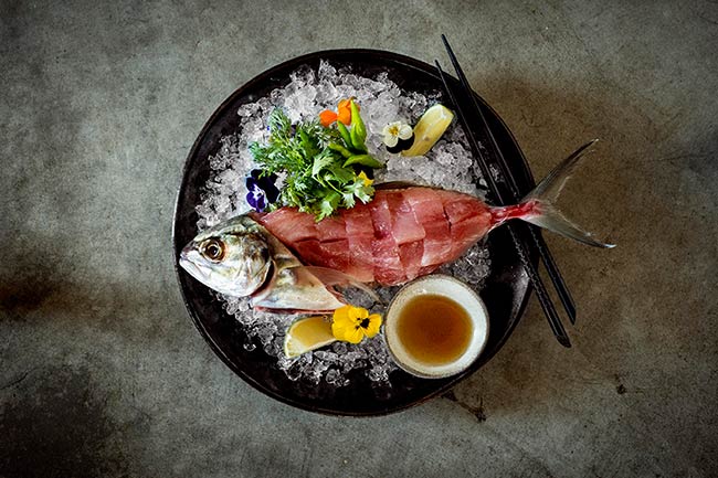 ARIA. צילום: בן יוסטר