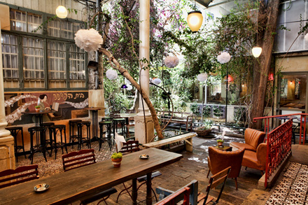 טיילור מייד. צילום: שי שבירו