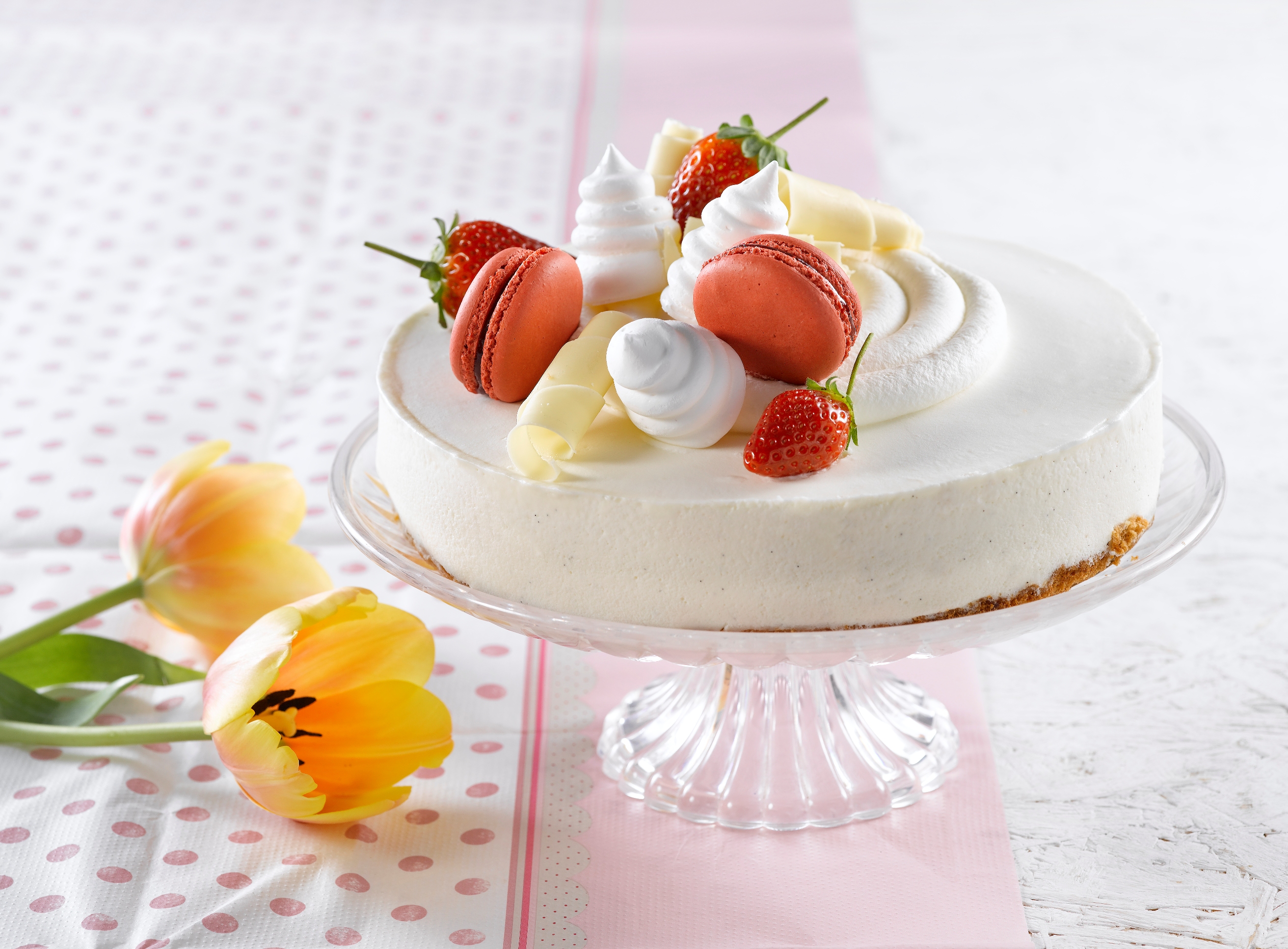 צילום רונן מנגן