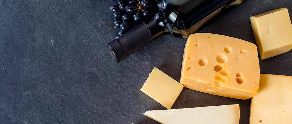 ממלכת החלב של טרה