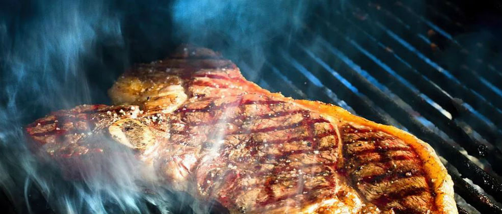 מסעדות בשר משובחות בצפון