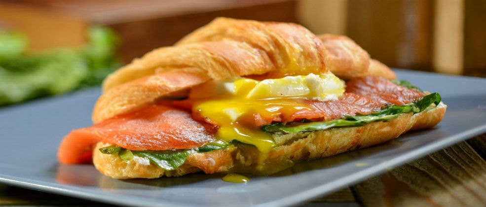 שחיתות כלבבי בבוקריה