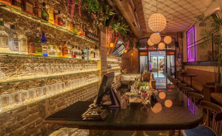 ג'ין אנד ג'וס