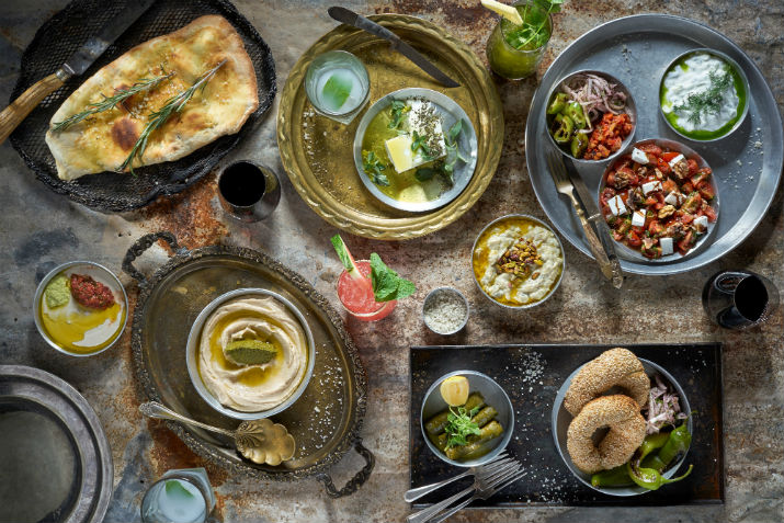 אונזה.  צילום: אנטולי מיכאלו אונזה.  צילום: אנטולי מיכאלו