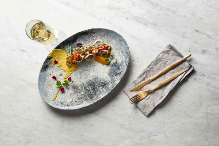 סיטארה (צילום: באדיבות המקום)