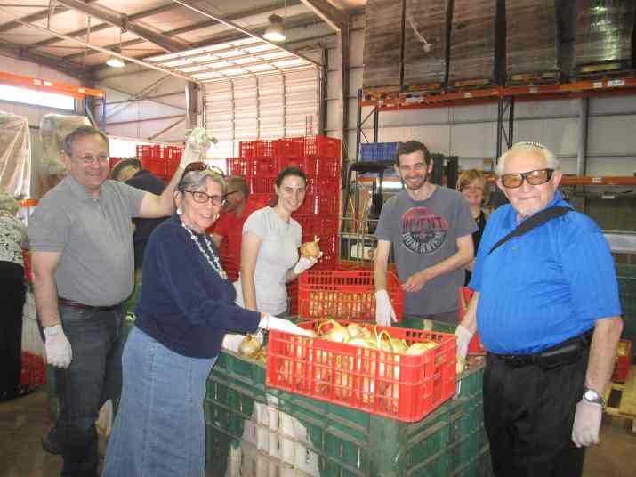 איסוף מזון בארגון לקט ישראל (צילום: באדיבות לקט ישראל)