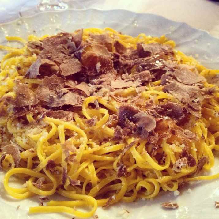 טיירין עם כמהין לבנות (צילום: מיכל לויט)