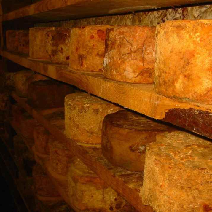 גבינות של Giolito formaggi (צילום: מתוך עמוד הפייסבוק של המקום)