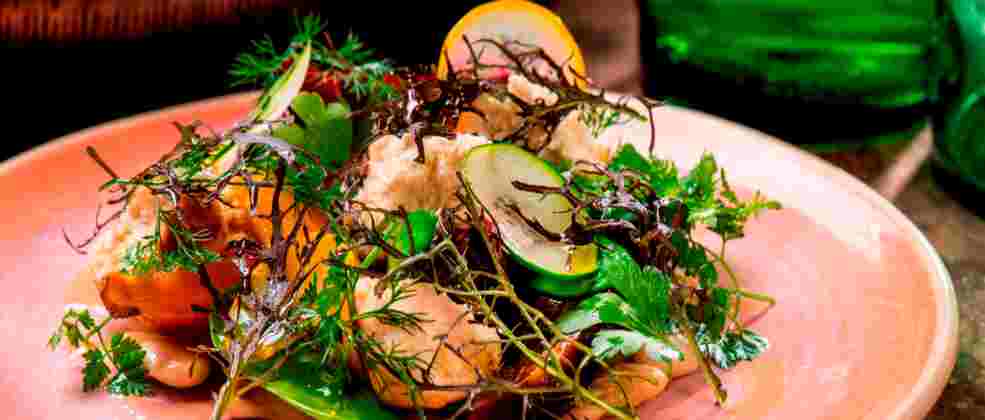 סלט שעועית לימה במסעדת רופטופ (צילום: איליה מלניקוב)