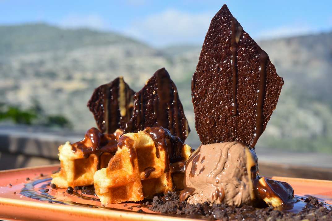 וופל בלגי וגלידה במסעדת ביף בהר יערה (צילום: גלעד הר שלג)