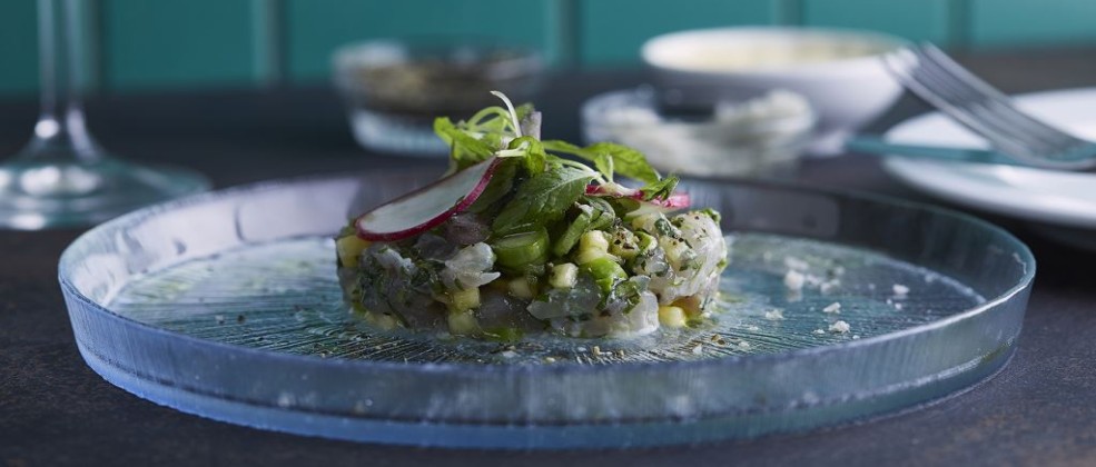 טרטר פלמידה לבנה במסעדת שיינע (צילום: אפיק גבאי)