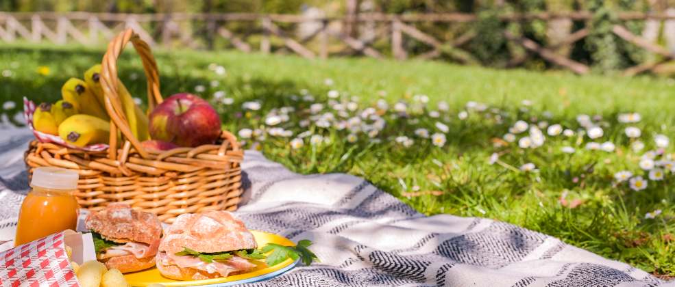 קישור לכתבה בשם כך תרכיבו את סלסלת הפיקניק המושלמת אצלכם בבית  כך תרכיבו את סלסלת הפיקניק המושלמת אצלכם בבית