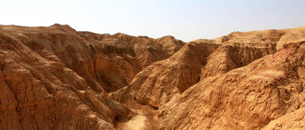 קישור לכתבה בשם ספיישל ולנטיין דיי - טיול רומנטי עם מסעדות בערבה  ספיישל ולנטיין דיי - טיול רומנטי עם מסעדות בערבה