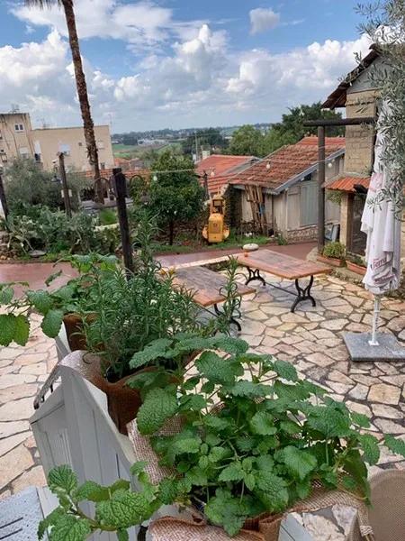 צילום: פרליטה