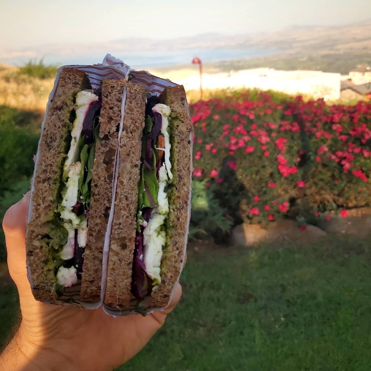 נינו עגלת קפה