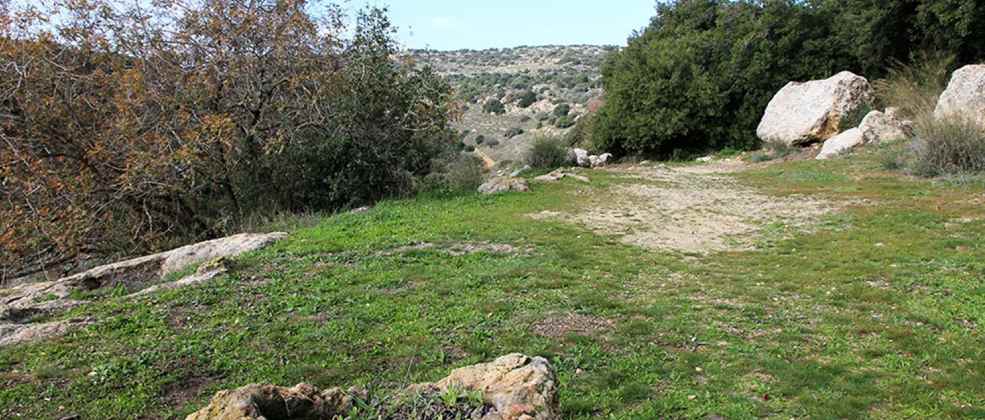 קישור לכתבה בשם עתידות: את החופש הגדול תבלו במסלול נחל המערה  עתידות: את החופש הגדול תבלו במסלול נחל המערה