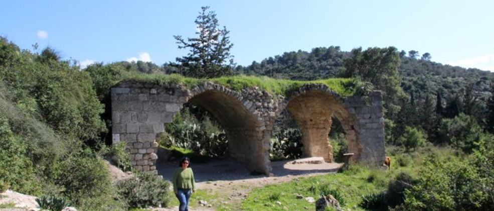 טיולים בחול המועד סוכות – מצפור עדנה רוג'רס 